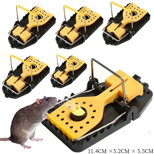 12professional mouse traps - mouse,