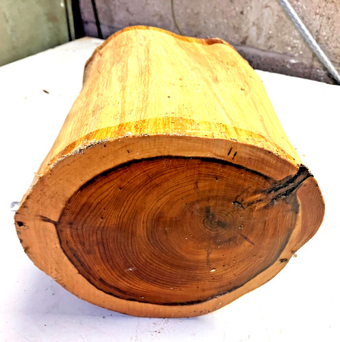 190x150x240mm lot 456a - 190x150x240mm, yew