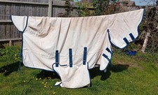 Shires Tempest Plus  Sweet