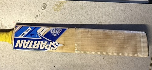 English willow cricket bat - english,