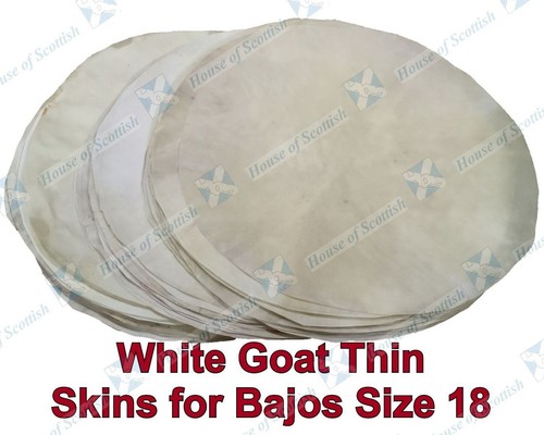Goat skin white thin quality - skin,
