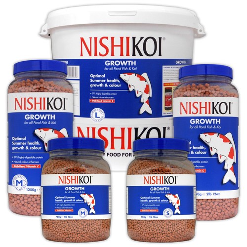 Nishikoi growth koi - koi, fish