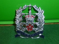 HAMPSHIRE BADGE