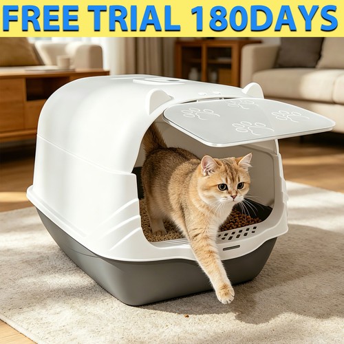 Large cat litter - litter, tray