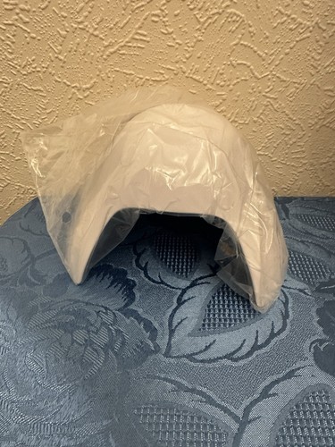 Reptile tortoise hide - reptile, house