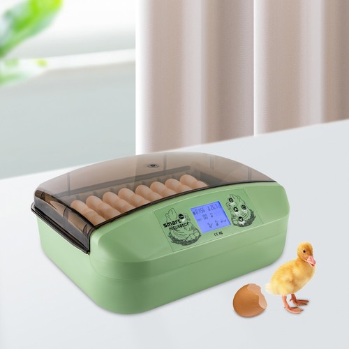 Digital egg incubator - digital,