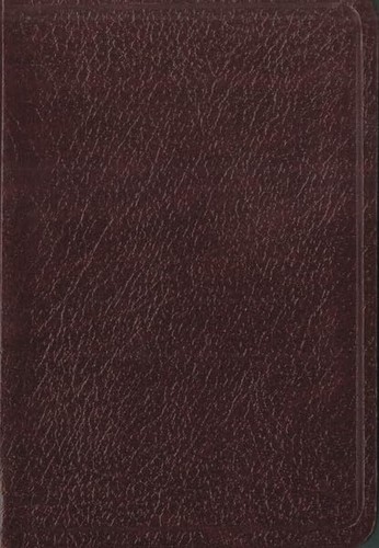 Santa biblia nueva version - biblia:,