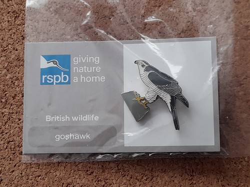Rspb goshawk series gnah - 4,