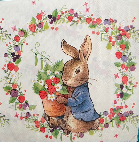Peter rabbit single - x,