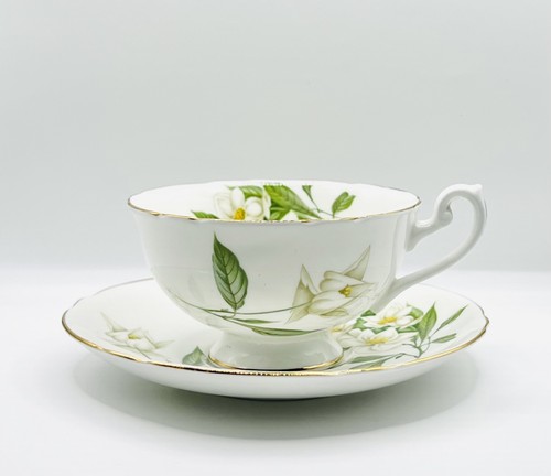 Shelley syringa 14009 - shelley,