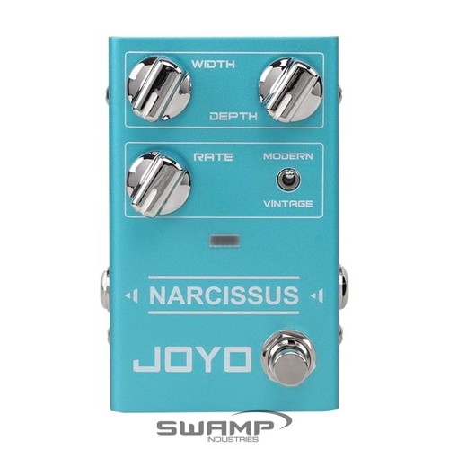 Joyo narcissus - joyo,