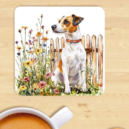 Jack russell terrier dog - jack,