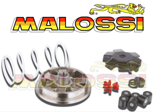 Variator malossi honda zoomer - malossi,