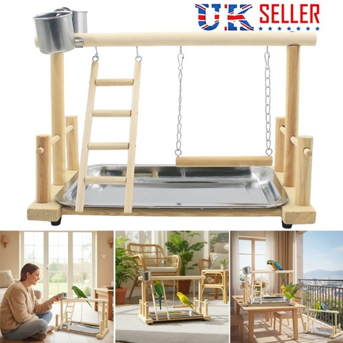 Parrot playstand bird plays - parrot,