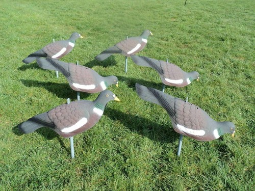 6pc pigeon decoys deterrent - 6pc,
