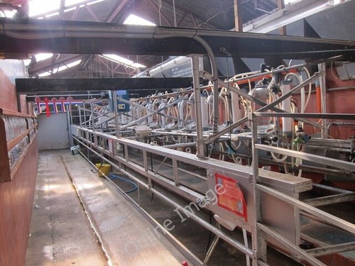 Photo 6x4 milking parlour west - photo,
