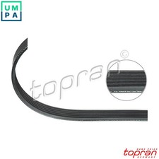 VRIBBED BELT 300 923 FOR