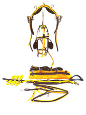 Cwell Equine Top Quality Trotting Racing Horse Harness Quick Hitch Yellow/Brown