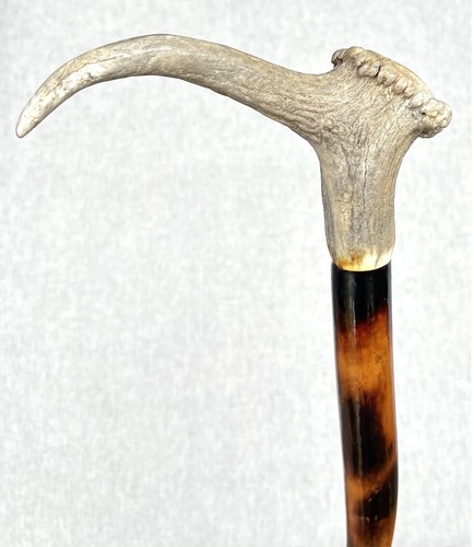 Vintage antique antler - vintage,