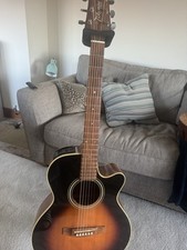 Takamine G Series