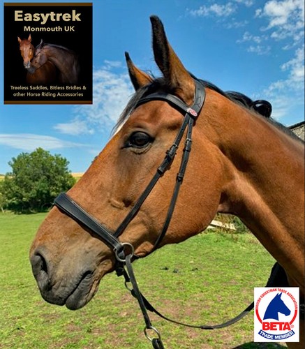 Bitless anatomical bridle - bitless,