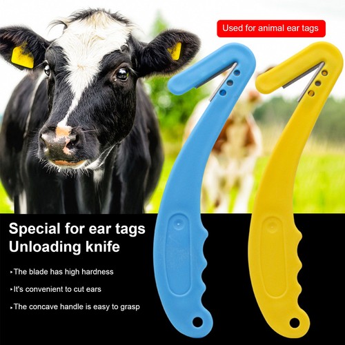 Cattle ear tag - ear,