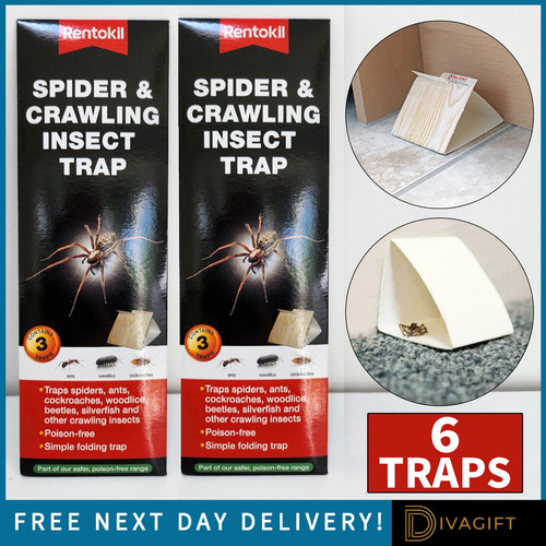 Spider glue traps safe - 6x,