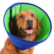 Flexible Dog Cone Recovery