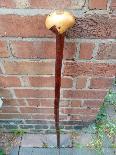 Blackthorn walking stick lead - blackthorn,