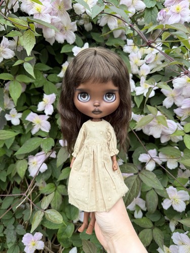 Custom blythe doll - blythe,