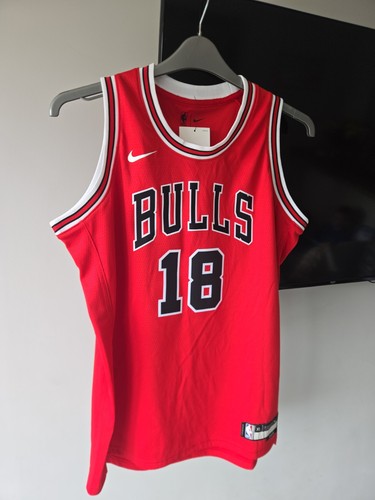 Nba nike vest - nike,