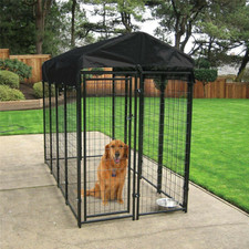 Outdoor Dog Kennel Pet House