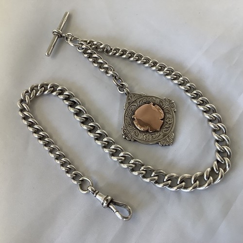 Albert watch chain 55g - chain, hm