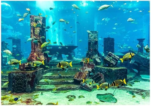 Aquarium background underwater - background,
