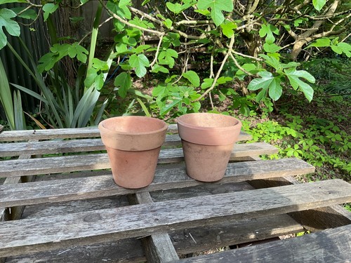 Vintage terracotta wide - 5”,