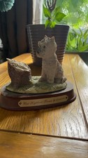 West Highland Terrier By