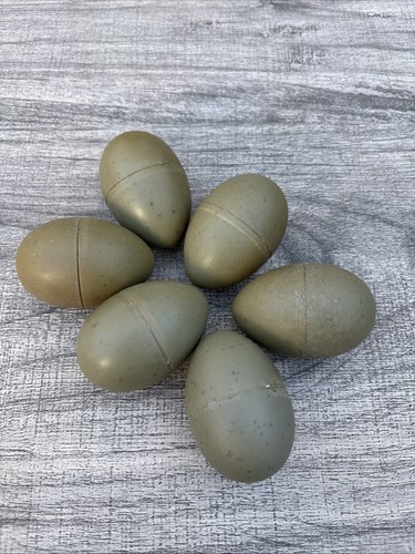 Dummy seagull eggs - seagull,