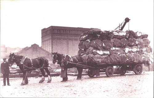 Liverpool 1912 horse lorry - 1912,