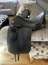 Harry Dabbs Jaguar Dressage