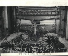1972 Press Photo Machinery slices thin veneer from billets to splints