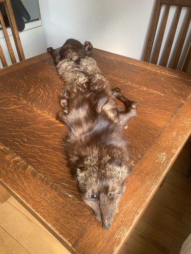 Vintage brown fur - vintage, stole