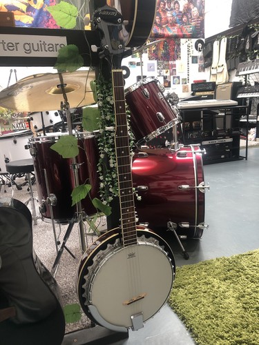 Ashbury ab35 string banjo - ab35-5,
