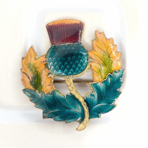 Scottish thistle brooch - thistle,