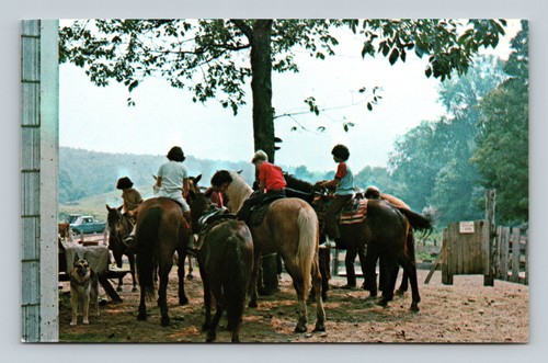 Vintage postcard circle - postcard,