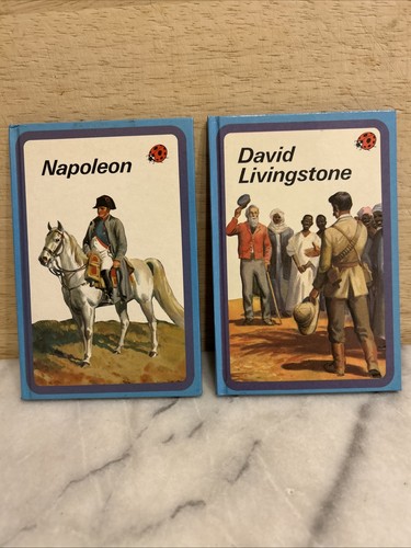 Pair vintage ladybird - pair,