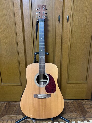 Martin acoustic guitar 1 - martin,