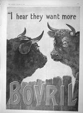 Original Old Antique Print 1902 Advertisement Bovril Highland Cattle 20th