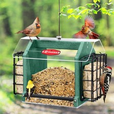Best Hopper Bird Feeder for