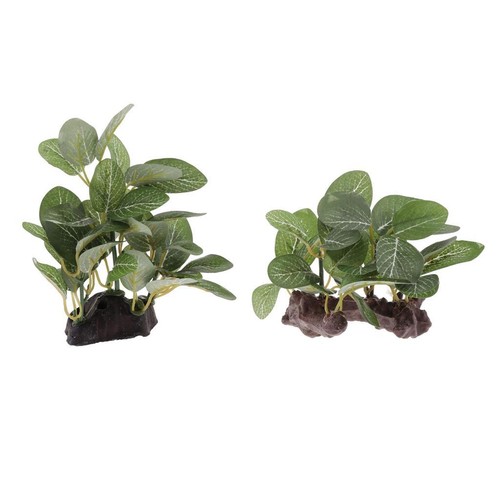 Terrarium decor plants - 2x,