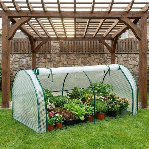 Mini plant greenhouse - mini, plastic